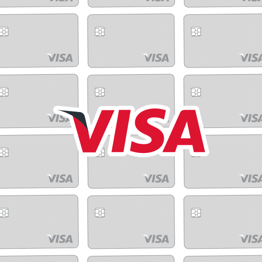Visa Vor- und Nachteile